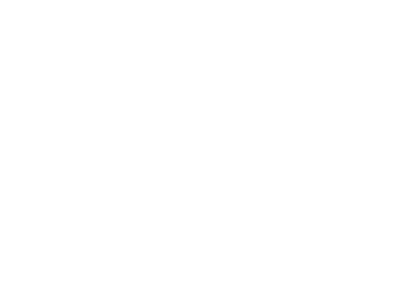 Paddle shape comparison